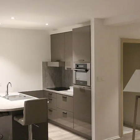 Les Dentelles - Appartement Meuble Design Petite France Strasbourg Exterior photo